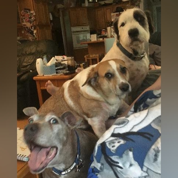 Meet your Posher, Dorothy - Picture 10 of 12